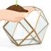 Danya B Polyhedral Brass/Glass Terrarium   